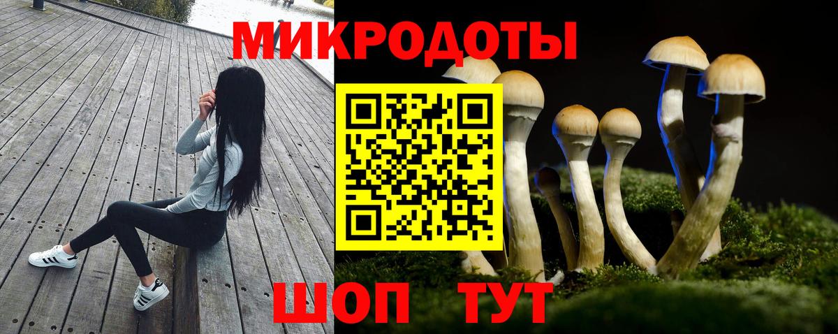сколько стоит  Галлюциногенные грибы Magic Shrooms  Вход с VPN  Волгоград 